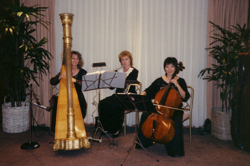 Funeral Harp Performance